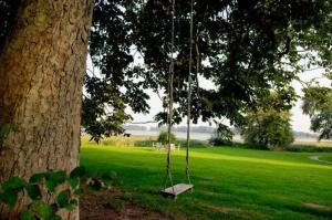 Zahrada ubytování Wohnung Im Zweiten Obergeschoss Des Gutshauses + 10 fotografií