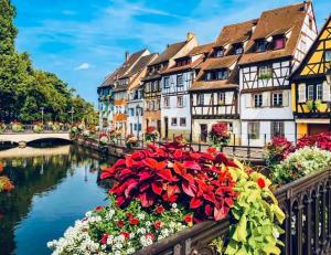 eine Gruppe von Häusern und Blumen neben einem Fluss in der Unterkunft Le Cocon des rêves studio neuf avec terrasse et Parking in Wintzenheim