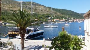 a group of boats docked in a harbor with a palm tree at Buena Vis-ta Apartments with the Sea View in Vis