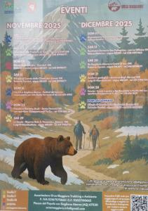 um cartaz de um urso pardo em uma trilha em Dimora Visconti em San Demetrio neʼ Vestini