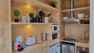 eine Küche mit einer Theke mit einer Mikrowelle und einer Spüle in der Unterkunft Le Spa Dijonnais in Dijon