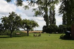 a park with a picnic table in the grass at Ferienwohnung Möwe In Ummanz Lüßvitz in Ummanz