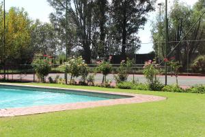 a swimming pool in the middle of a yard with flowers at Big Tree Midrand in Midrand
