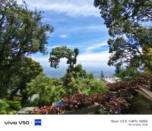 une vue des arbres et des fleurs d'un parc dans l'établissement Great Escapes Resorts, à Chinnakanal 8 autres photos