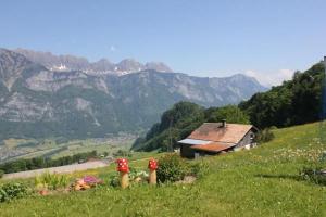 a house on the side of a hill with mountains at Fäsch in Flumserberg