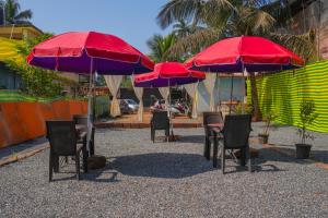 Κήπος έξω από το Hunggama Hostel Cafe - By SK