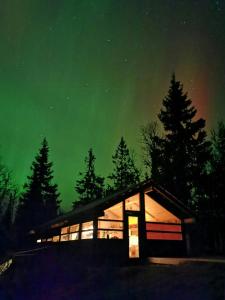 a cabin under a green sky with trees at Ål Cabin With Panoramic Views in Favang