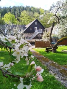 Κήπος έξω από το Urfter Hof Garni