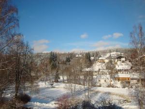 ein Haus auf einem Hügel im Schnee in der Unterkunft Studio für 2 Personen ca 58 qm in Bayerisch Eisenstein, Bayern Bayerischer Wald in Bayerisch Eisenstein