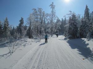 eine Person Langlauf auf einer schneebedeckten Straße in der Unterkunft Studio für 2 Personen ca 58 qm in Bayerisch Eisenstein, Bayern Bayerischer Wald in Bayerisch Eisenstein