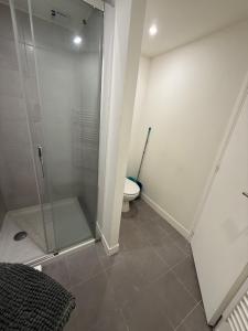 a bathroom with a shower and a toilet at Studio Rénové - Cœur de Ville WIFI in Dreux