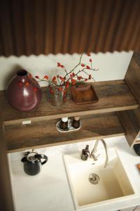 LutomiaOko na Sowie的带水槽的柜台和带植物的花瓶