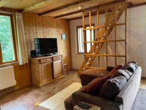 Una sala de estar con un sofá y un televisor. en Chalet Hilsen - 2 à 6 personnes, en Linthal