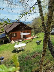 una casa con una mesa de picnic en el patio en Chalet Hilsen - 2 à 6 personnes, en Linthal