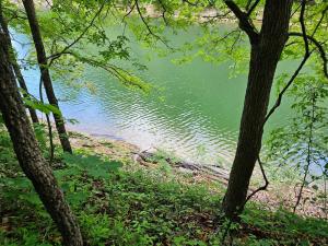 a view of a body of water between trees at Little blue house on the lake in Nancy
