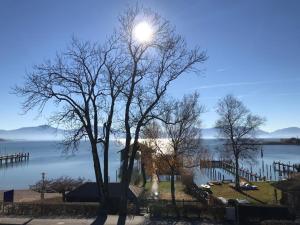 a street light next to two trees next to a body of water at QC Quartier Chiemsee Hotel in Seebruck +20 photos