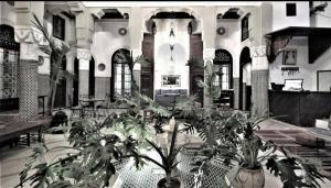 Κήπος έξω από το Riad Razane Fez