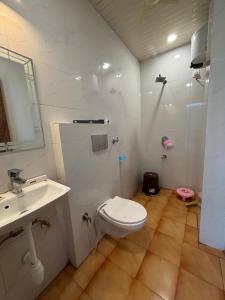 Un baño con inodoro, lavabo y ducha. en Hotel Shivaay, en Jodhpur