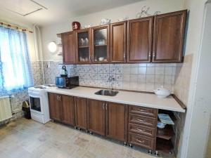 Η κουζίνα ή μικρή κουζίνα στο Apartment Plavy by Interhome