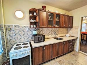 Η κουζίνα ή μικρή κουζίνα στο Apartment Plavy by Interhome