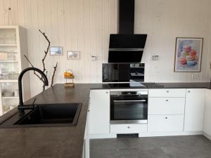 eine Küche mit Spüle und Herd oberen Backofen in der Unterkunft Holiday Home Mauri - 350m from the sea by Interhome in Torsted