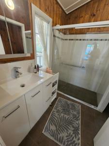 谭伯连山Main St Heritage Charm & Walk to Restaurants的带白色水槽和淋浴的浴室