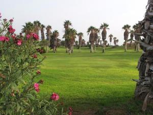 a field of grass with palm trees and pink flowers at Casa LuLu in San Miguel de Abona +11 photos