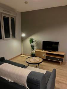 a living room with a couch and a flat screen tv at Charmant studio in Villeurbanne