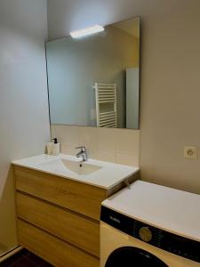 a bathroom with a sink and a mirror at Charmant studio in Villeurbanne