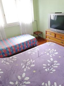 1 Schlafzimmer mit 2 Betten, einem TV und einer Kommode in der Unterkunft 6 personas playa grande con reservación previa in Mar del Plata + 9 Fotos