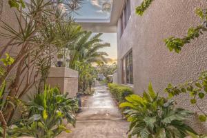 Κήπος έξω από το Villa Teale Serene Dorado Escape