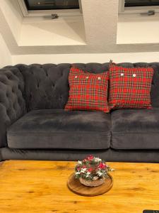 un canapé noir avec des coussins rouges et un pot de fleurs dans l'établissement A&A Apartment, à Oftringen 10 autres photos