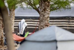 eine Hängematte zwischen zwei Bäumen mit einem Zelt in der Unterkunft חאן השיירות- אוהלים בדואיים וקמפינג in Midreshet Ben Gurion + 2 Fotos