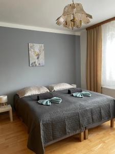 une chambre avec un lit et un lustre dans l'établissement revLIVING Lodge Kleinstelzendorf Hollabrunn - 4 Schlafzimmer, à Kleinstelzendorf