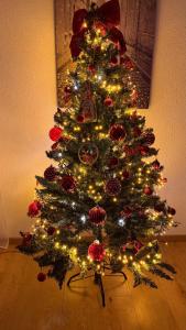 un arbre de Noël orné de lumières et d'ornements dans l'établissement A&A Apartment, à Oftringen