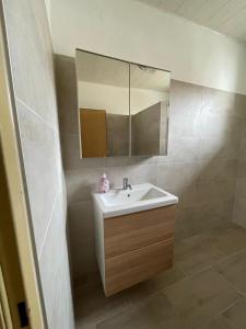une salle de bain avec un lavabo et un miroir dans l'établissement revLIVING Lodge Kleinstelzendorf Hollabrunn - 4 Schlafzimmer, à Kleinstelzendorf 3 autres photos