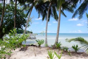 a beach with palm trees and the ocean at Poki Poki - Togian Islands in Bomba +60 photos