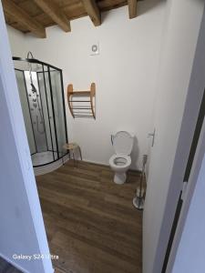 une salle de bain avec toilettes et douche dans l'établissement Gîte Chez Marcel, à Spoy