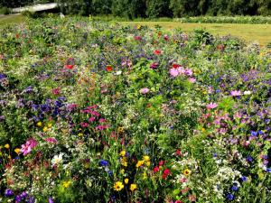 Zahrada ubytování Apartment für berufliche oder private Zwecke