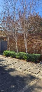 Сад в Middelburg Guest House +6 фотографий