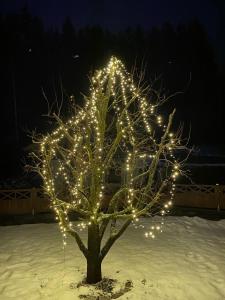 Fotografie z fotogalerie ubytování Ferienwohnung Maier v destinaci Mittersill