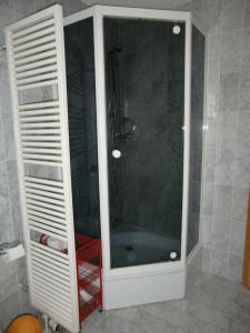 eine Dusche mit Glastür im Badezimmer in der Unterkunft Ferienwohnung für 5 Personen in Radewege, Berlin in Radewege
