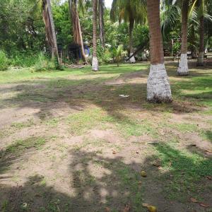 Photo de la galerie de l'établissement K'an, à Tonalá