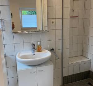 Un baño con lavabo y ducha en Haus Achtern Diek - Ferienwohnungen, en Wangerland 55 fotos más
