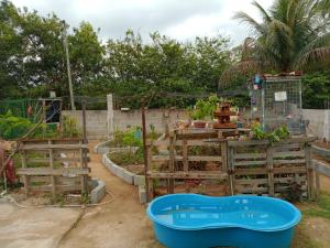 Κήπος έξω από το Recanto Beija-flor