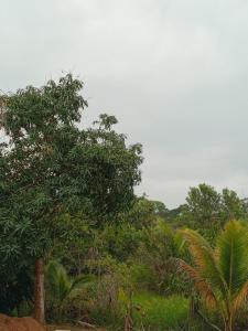 Φυσικό τοπίο κοντά σε αυτό το κάμπινγκ