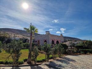 Aït Raïs AomarDar Skalli Essaouira - Oase am Atlantik的一座前面有棕榈树的建筑