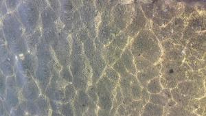 eine Draufsicht auf Felsformationen im Wasser in der Unterkunft Ferienhaus mit Terrasse und Kinderpool an einer Bucht mit Meerblick in Rogoznica + 11 Fotos