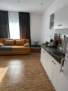 a living room with a couch and a kitchen at Park House in Baia Mare