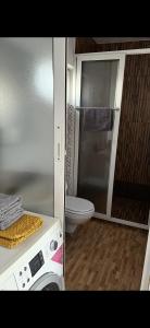 2 Bilder eines Badezimmers mit WC in der Unterkunft Park House in Baia Mare